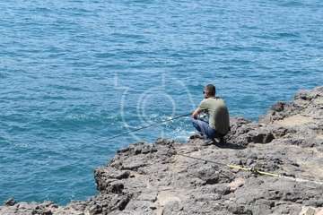 Avistan cetáceos en el mar de La Garita-Telde (Foto TA)